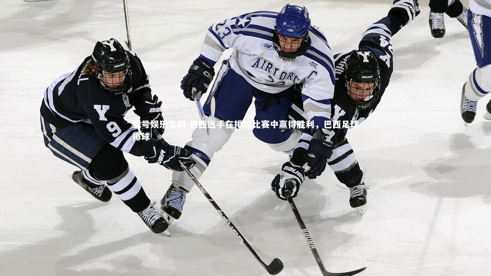 巴西选手在排球比赛中赢得胜利,巴西足球排球